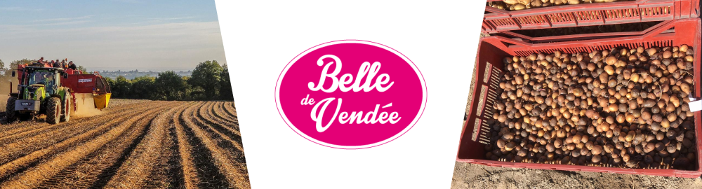 Belle de Vendée (85)