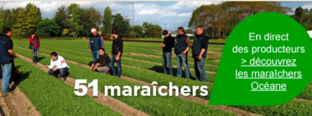 Océane - Producteurs maraichers (44)