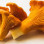 Girolles France -3kg