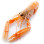 Langoustines Glacées Ecosse 30/40 -3Kg