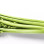 Celeri Branche France Colis De 5Kg