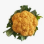 Chou Fleur Orange France X6 ~8kg