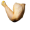 Cuisse De Chapon LR - 500-600 Gr - Cocot SV X 2