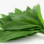 Ail Des Ours 1kg- France