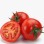 TOMATE RONDE PAYS DE LA LOIRE - VRAC 6KG