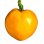 Tomate Coeur De Boeuf JAUNE France Plateau ~15P