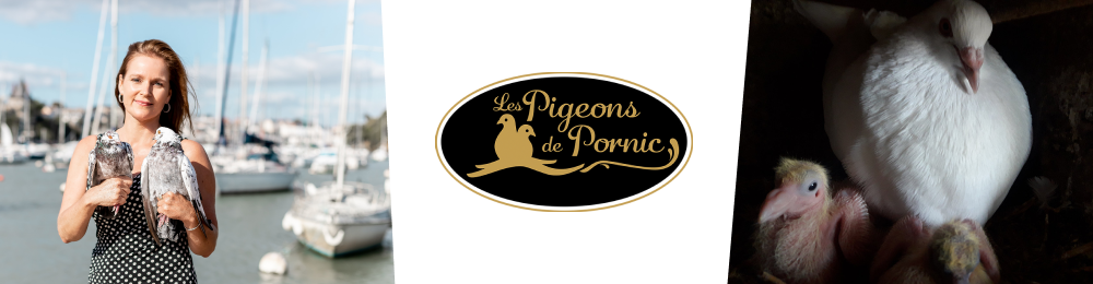 Les Pigeons de Pornic