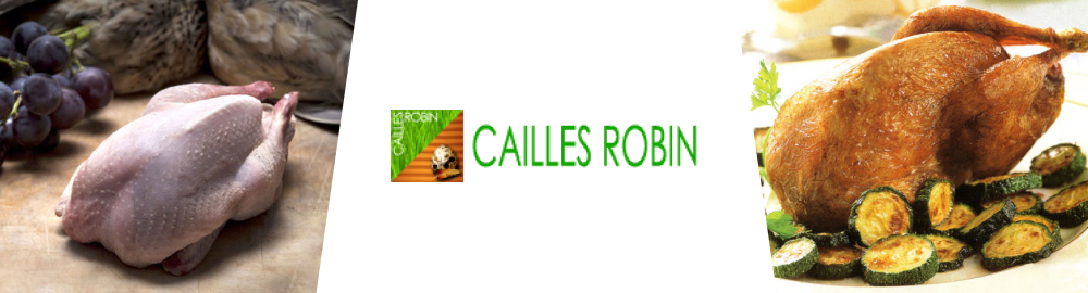 Cailles Robin