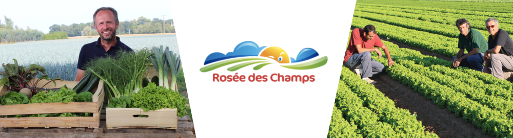 LA ROSEE DES CHAMPS