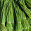Ciboulette Thaï Sachet Zippé "Méchinaud" (Origine : Voir Emballage) -100g