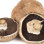 Champignon Gros à Farcir Pied Coupé Blanc Vrac Charente Maritime -2Kg