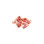 Lardons Fumé VPF S/AT Pays De La Loire ~1kg