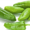 Piment De Padron Espagne -2kg