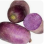 Radis Bleue Meat Bio - 2.5kg- France (85)