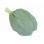 Feuilles D'huître (Oyster Leaves) Hollande X50pcs