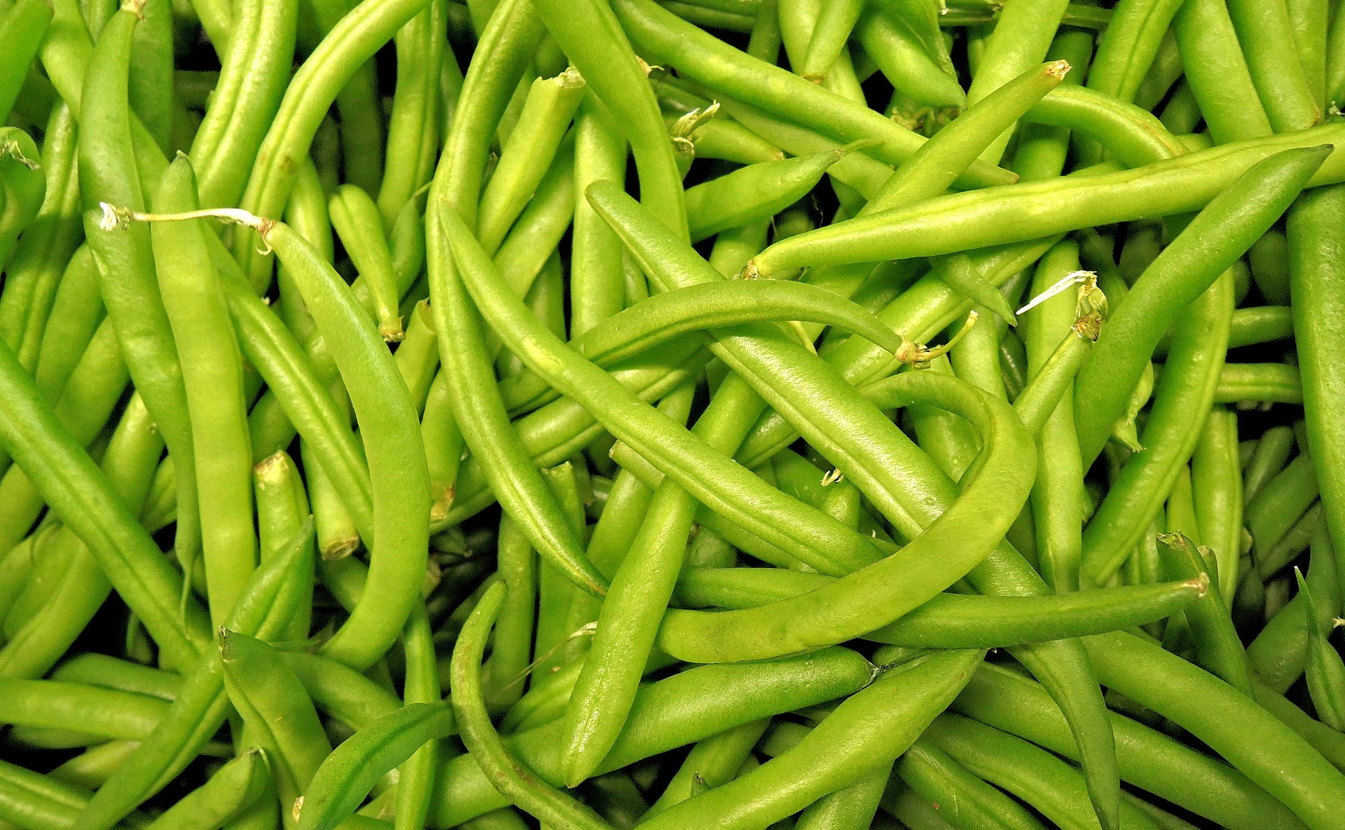 Haricots Verts BIO France - 3kg