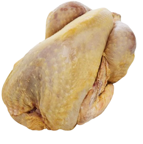 Pintade Label Rouge Fermière Challans Pac Nue - 1,4kg X 4