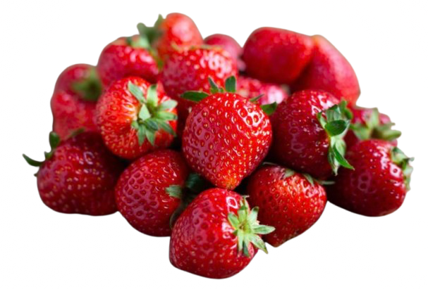 Fraise Dream Barquette 500gr Pays De La Loire